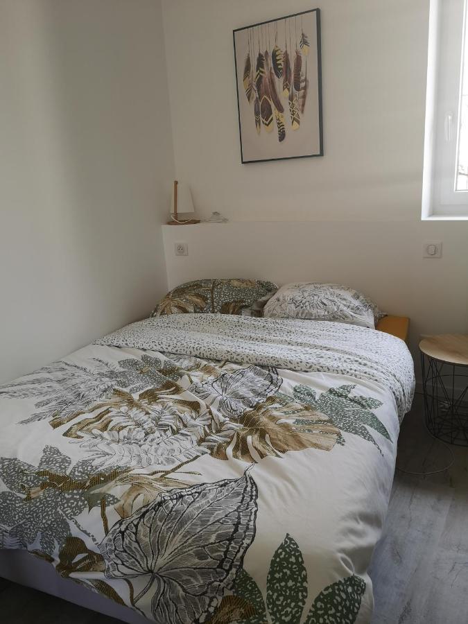 T3 Avec Salle De Bain Privative Par Chambre Agen Bagian luar foto